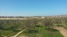 Satılır Torpaq, Abşeron.r, Masazır-2