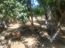 Satılır Həyət evi, Sumqayıt.ş-13