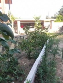 Satılır Həyət evi, Abşeron.r, Saray-8