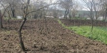Satılır Həyət evi, Şamaxı.ş-5