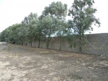 Satılır Torpaq, Xəzər.r, Şüvəlan-6