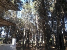 Satılır Torpaq, Xəzər.r, Mərdəkan-2