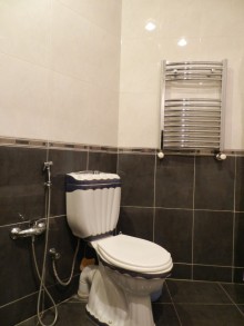 Kirayə (Aylıq) Yeni Tikili, Nəsimi.r, Sahil.m-9