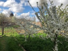 Satılır Həyət evi, Sabunçu.r, Ramana-2