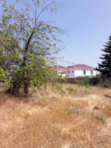 Satılır Torpaq, Abşeron.r, Novxanı-4