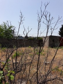 Satılır Torpaq, Abşeron.r, Novxanı-10