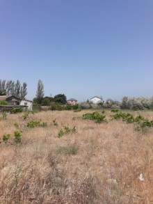 Satılır Torpaq, Abşeron.r, Novxanı-13