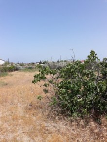 Satılır Torpaq, Abşeron.r, Novxanı-15