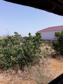 Satılır Torpaq, Abşeron.r, Novxanı-16