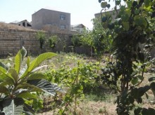 Satılır Həyət evi, Abşeron.r, Masazır-18