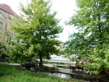 Satılır Villa, Səbail.r, Badamdar-10