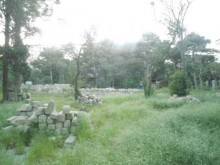 Satılır Torpaq, Nəsimi.r, 20 Yanvar.m-8