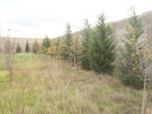 Satılır Torpaq, Xəzər.r, Şüvəlan-2