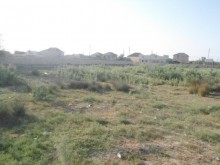 Satılır Torpaq, Sabunçu.r, Pirşağı-5