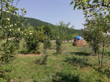Satılır Torpaq, Qəbələ.ş-1