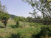 Satılır Torpaq, Qəbələ.ş-3