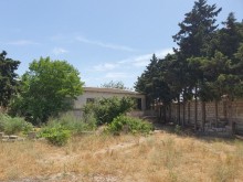 Satılır Torpaq, Xəzər.r, Mərdəkan, Koroğlu.m-4