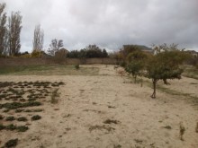 Satılır Torpaq, Abşeron.r-8