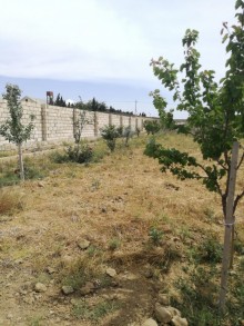 Satılır Torpaq, Abşeron.r, Novxanı-3