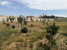 Satılır Torpaq, Abşeron.r, Novxanı-5