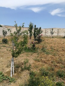 Satılır Torpaq, Abşeron.r, Novxanı-6