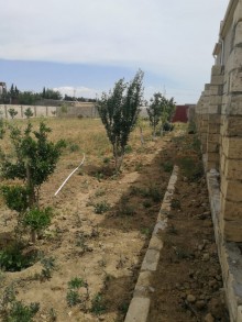 Satılır Torpaq, Abşeron.r, Novxanı-15