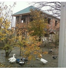 Satılır Həyət evi, Mingəçevir.ş-3
