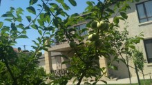 Satılır Villa, Xəzər.r-6