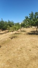 Satılır Həyət evi, Abşeron.r, Saray, 20 Yanvar.m-5