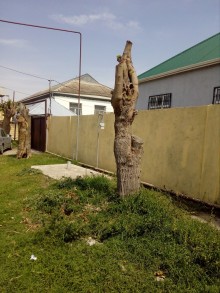 Satılır Həyət evi, İmişli.ş-2