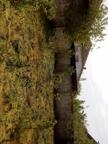 Satılır Həyət evi, İmişli.ş-19