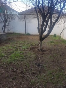 tap az qaracuxurda satilan heyet evleri, -5