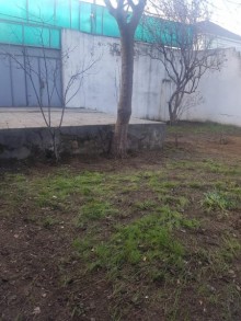 tap az qaracuxurda satilan heyet evleri, -6