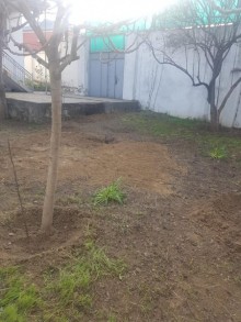 tap az qaracuxurda satilan heyet evleri, -7