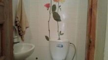 tap az qaracuxurda satilan heyet evleri, -12
