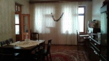 tap az qaracuxurda satilan heyet evleri, -14