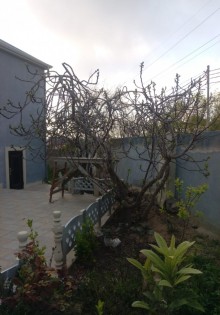 Satılır Həyət evi, Suraxanı.r, Bülbülə, Koroğlu.m-12