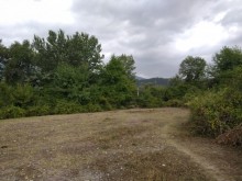 Satılır Torpaq, Qəbələ.ş-2