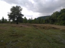 Satılır Torpaq, Qəbələ.ş-6