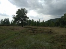 Satılır Torpaq, Qəbələ.ş-9