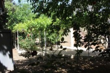 Satılır Həyət evi, Sabunçu.r, Maştağa-4