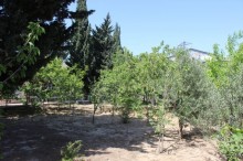 Satılır Həyət evi, Sabunçu.r, Maştağa-19