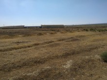 Satılır Torpaq, Abşeron.r, Masazır-4