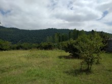 Satılır Torpaq, Qəbələ.ş-6