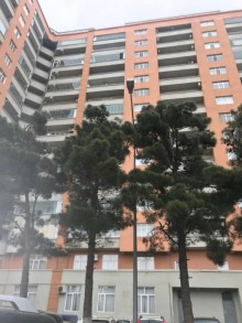Satılır Yeni Tikili, Yasamal.r, Yasamal, 20 Yanvar.m-1