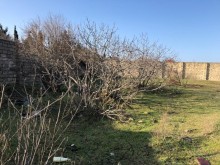 Satılır Torpaq, Sabunçu.r, Bilgəh, Koroğlu.m-5