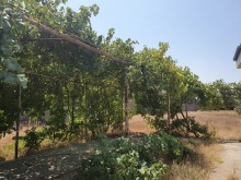 Satılır Torpaq, Xəzər.r, Mərdəkan, Koroğlu.m-3