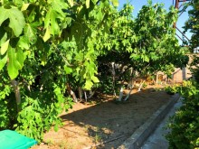 bina.az heyet evleri, -11