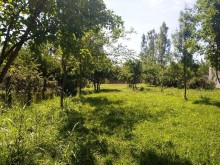 Satılır Torpaq, Qəbələ.ş-2