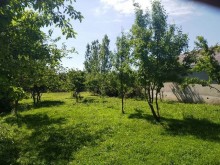 Satılır Torpaq, Qəbələ.ş-5